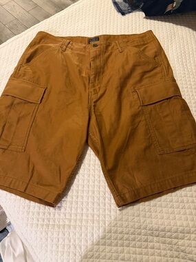 Levi's Men's Cargo Shorts in Rust Brown